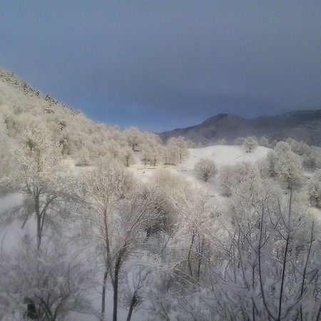 Mas Regort Hotel Vallfogona De Riucorb ภายนอก รูปภาพ