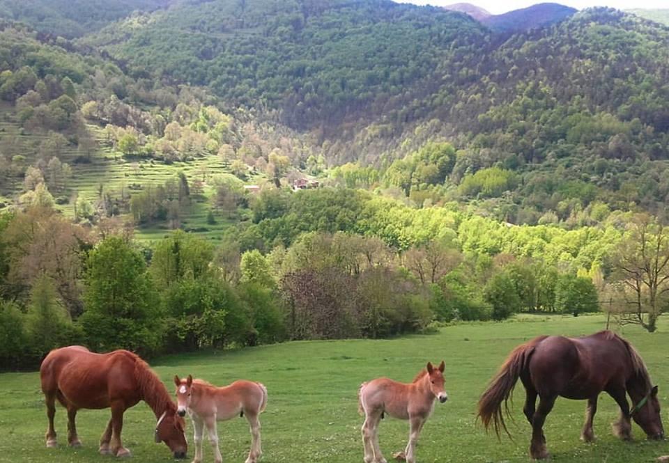 Mas Regort Hotel Vallfogona De Riucorb ภายนอก รูปภาพ