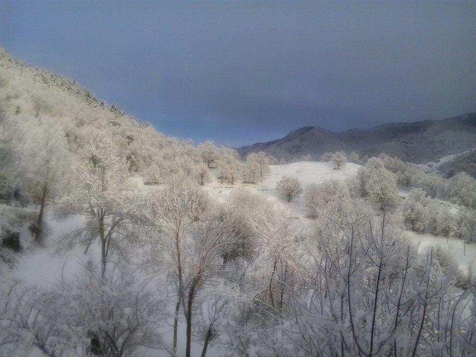 Mas Regort Hotel Vallfogona De Riucorb ภายนอก รูปภาพ